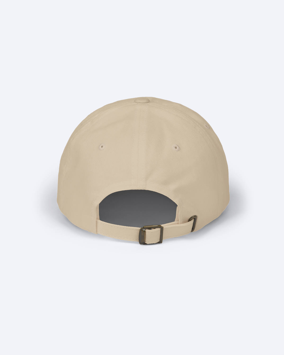 THE MISEDUCATION EMBROIDERED DAD HAT